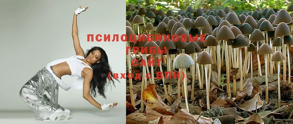 spice Абдулино
