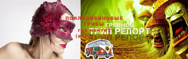 круглые Алзамай