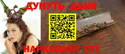 МДПВ Кингисепп
