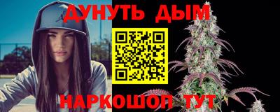 МДПВ Кингисепп