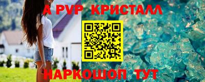 МДПВ Кингисепп