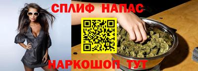 МДПВ Кингисепп