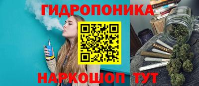 мет Кимры