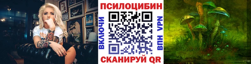 дарк нет какой сайт  Миллерово  Галлюциногенные грибы Psilocybe 